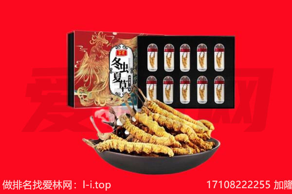 成都青白江区回收虫草.jpg